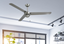 Tornado 56 in. Indoor/Outdoor Stainless Steel s316 Ceiling Fan